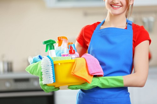 Professional carpet cleaner restoring carpets in an Edgware home