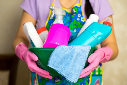 Professional home cleaners in Edgware cleaning a modern living room