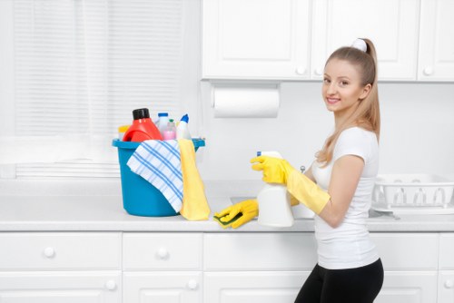 Residential carpet cleaning results in Edgware