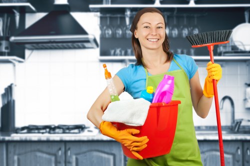 Carpet, rug and upholstery cleaning services