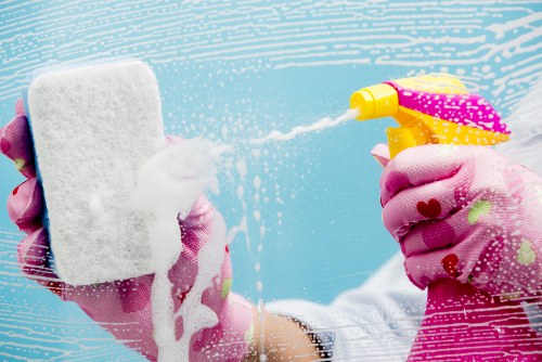 Accepted payment methods shown in a secure cleaning service checkout