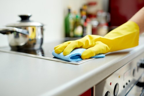 Kitchen cleaning as part of domestic cleaning in Edgware