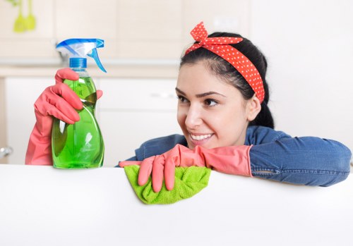 Professional window cleaner servicing a home in Edgware